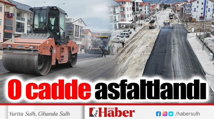 206. caddede asfaltlama yapıldı