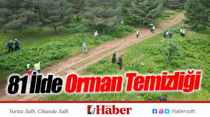 81 İlde Orman Temizliği