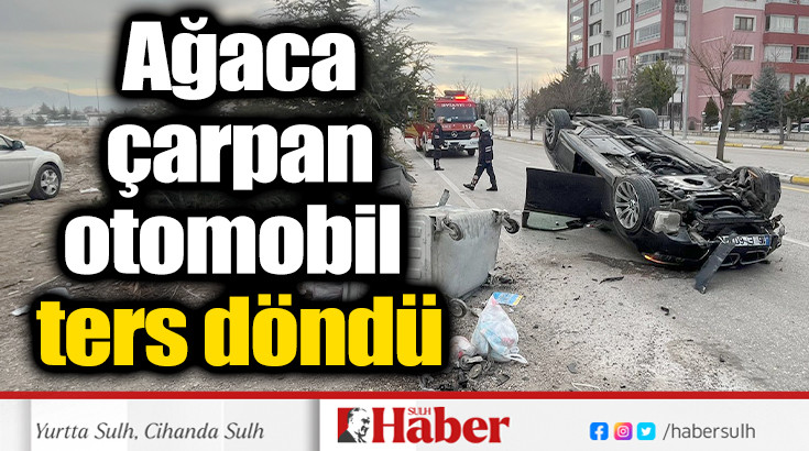 Ağaca çarpan otomobil ters döndü