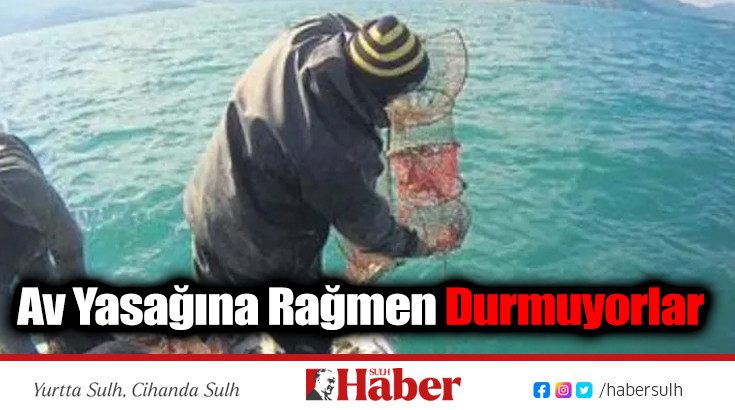 Av Yasağına Rağmen Durmuyorlar