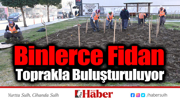 Binlerce Fidan Toprakla Buluşturuluyor