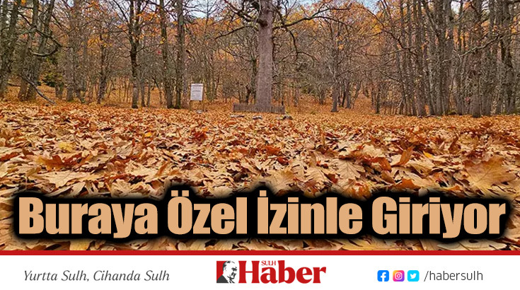 Buraya Özel İzinle Giriyor