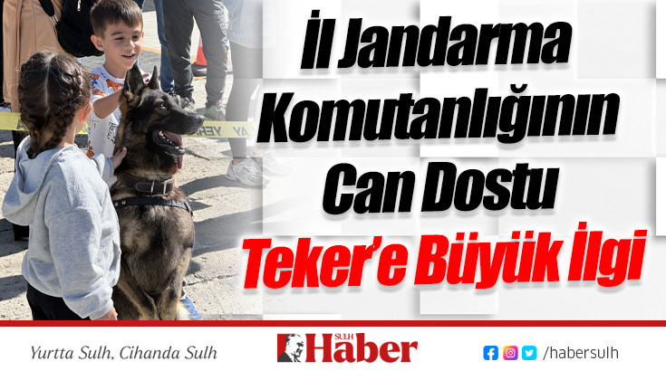 İl Jandarma Komutanlığının Can Dostu Teker’e Büyük İlgi