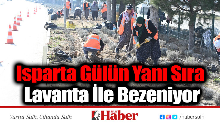 ISPARTA GÜLÜN YANI SIRA LAVANTA İLE BEZENİYOR