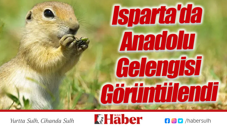 Isparta'da Anadolu Gelengisi Görüntülendi