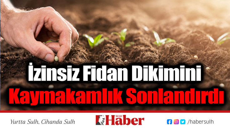 İzinsiz Fidan Dikimini Kaymakamlık Sonlandırdı