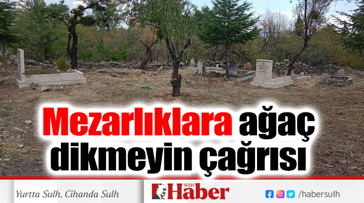 Mezarlıklara ağaç dikmeyin çağrısı 