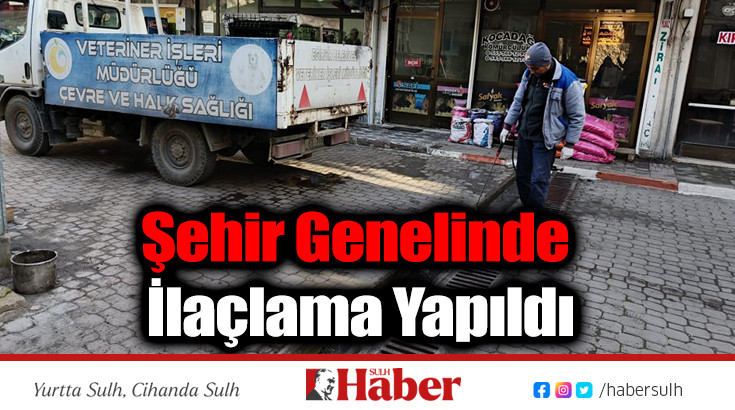 Şehir Genelinde İlaçlama Yapıldı