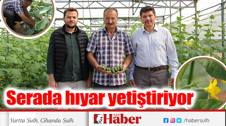 Serada hıyar yetiştiriyor