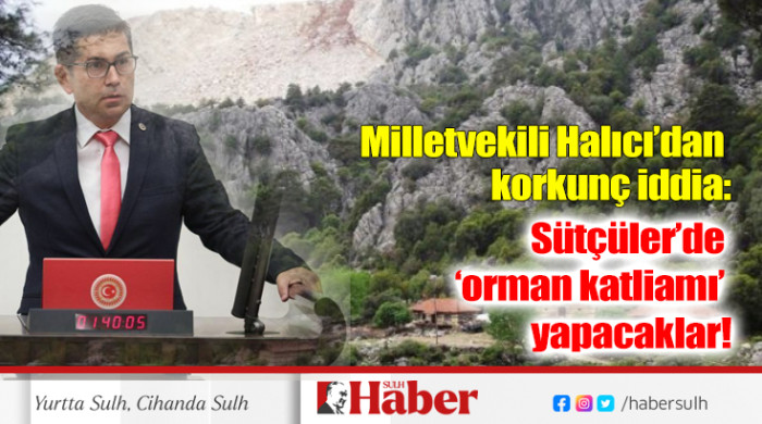 Sütçüler’de ‘orman katliamı’ yapacaklar