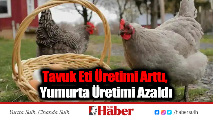 Tavuk Eti Üretimi Arttı, Yumurta Üretimi Azaldı