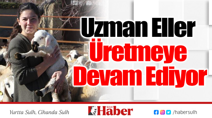 Uzman Eller Üretmeye Devam Ediyor