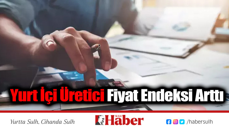 Yurt İçi Üretici Fiyat Endeksi Arttı